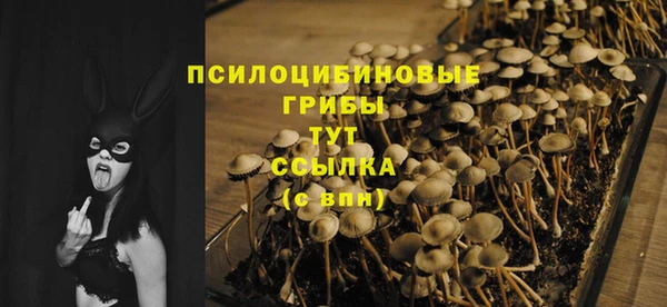 прущие крисы Арсеньев