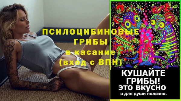 прущие крисы Арсеньев