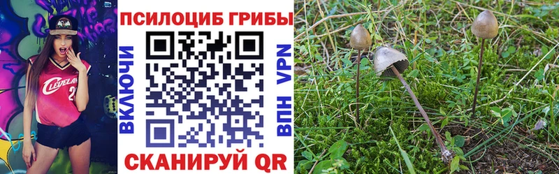 Псилоцибиновые грибы мухоморы  Рыбное 